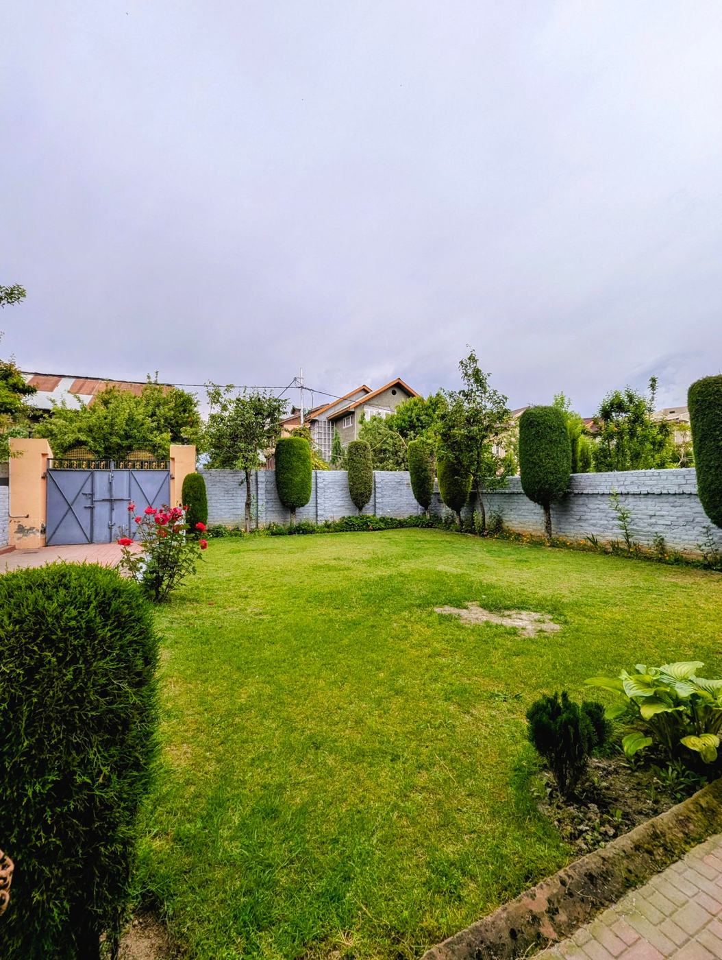 Manicured lawn and hedges