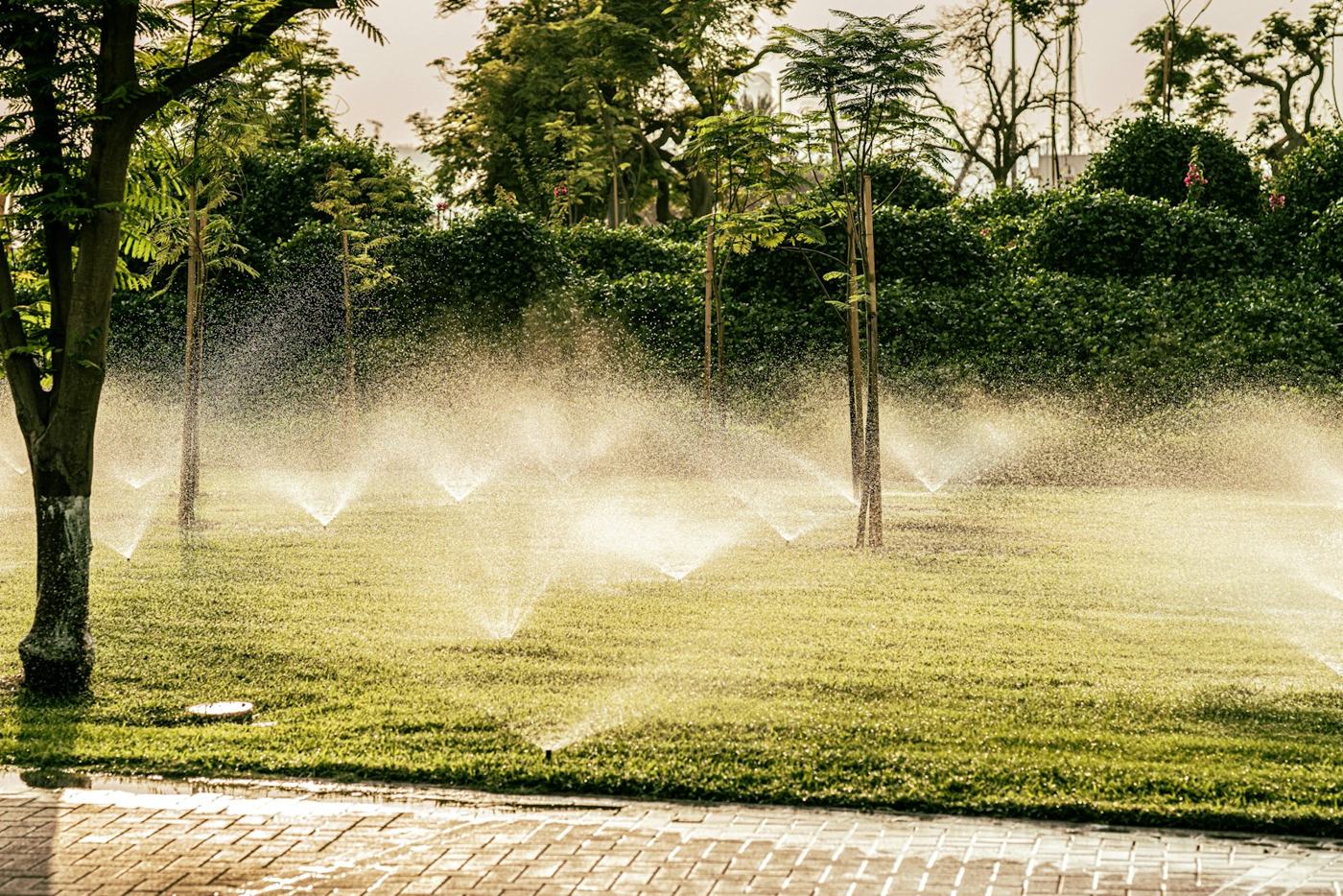 Sprinklers watering a green lawn